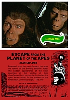 escapecard16.jpg