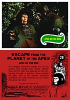 escapecard28.jpg