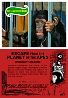 escapecard43.jpg