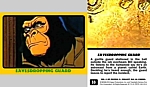 return01card33.jpg