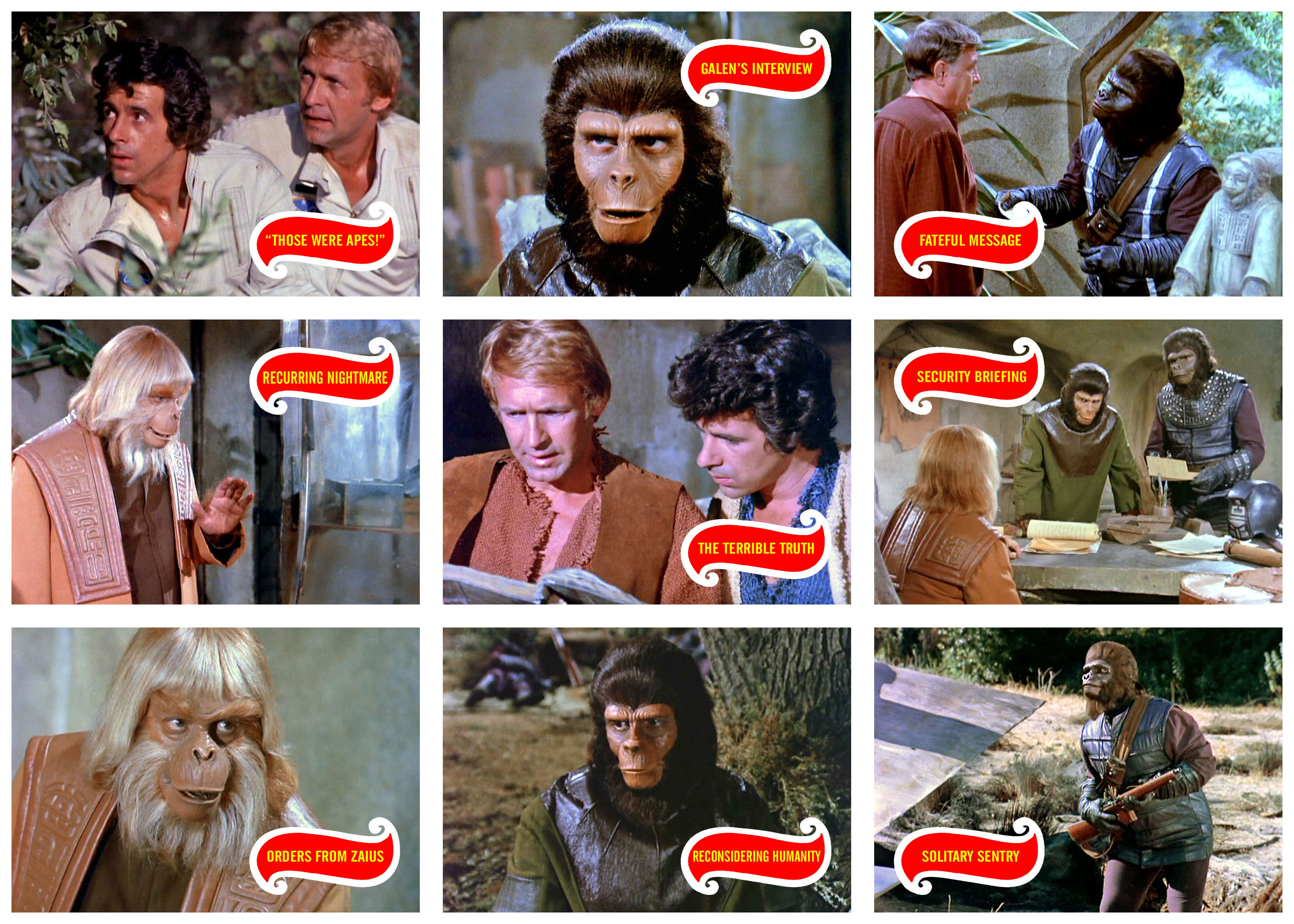 tvseriesf2.jpg