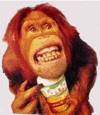 Good monkey.  Here's your TANG(tm).
