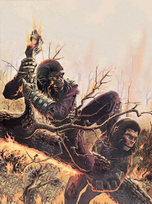 marvel_cover_27.jpg