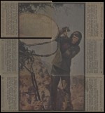 pota-tv-puzzle-d.html