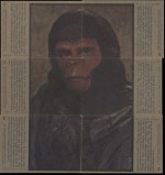 pota-tv-puzzle-h.html
