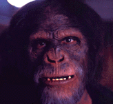 Planet of the Apes chimp